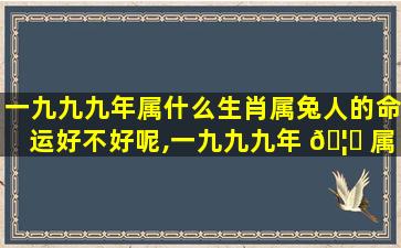 一九九九年属什么生肖属兔人的命运好不好呢,一九九九年 🦁 属什么生肖属兔人的命 🌹 运好不好呢女生